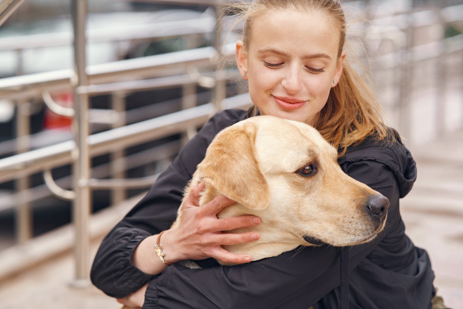 Proprietario con il suo cane adulto, contatto calmo