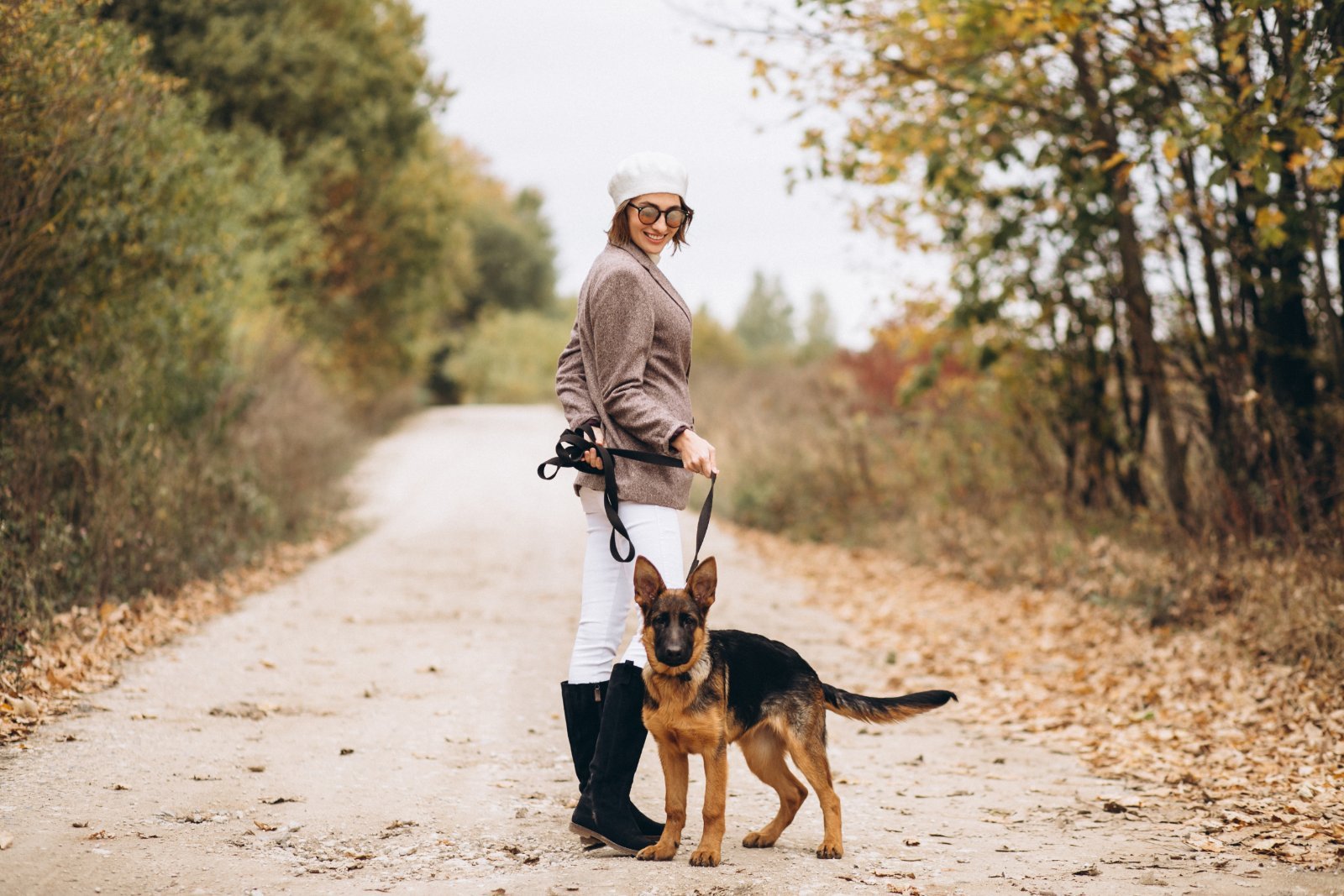 Dog on a walk, need for daily exercise