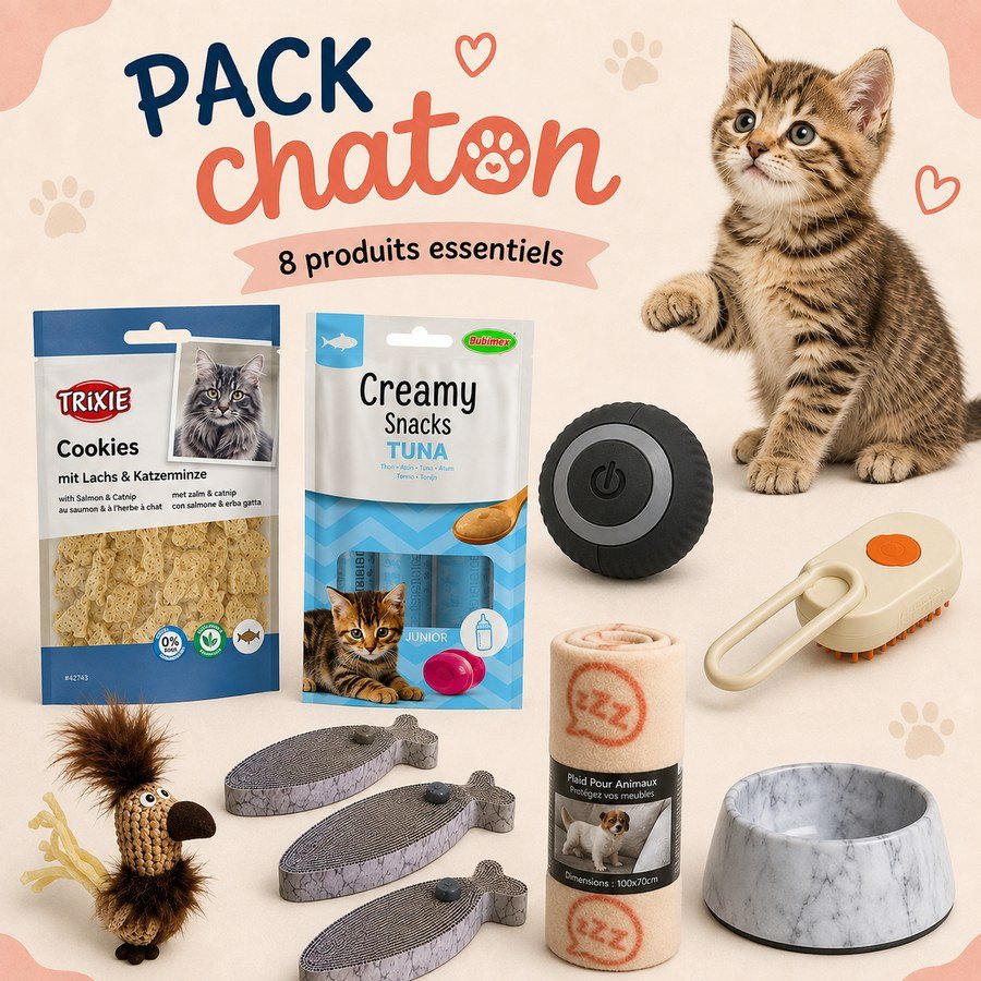 Auberpets kitten pack: bowl, blanket, cardboard scratching post, interactive ball, brush and treats
