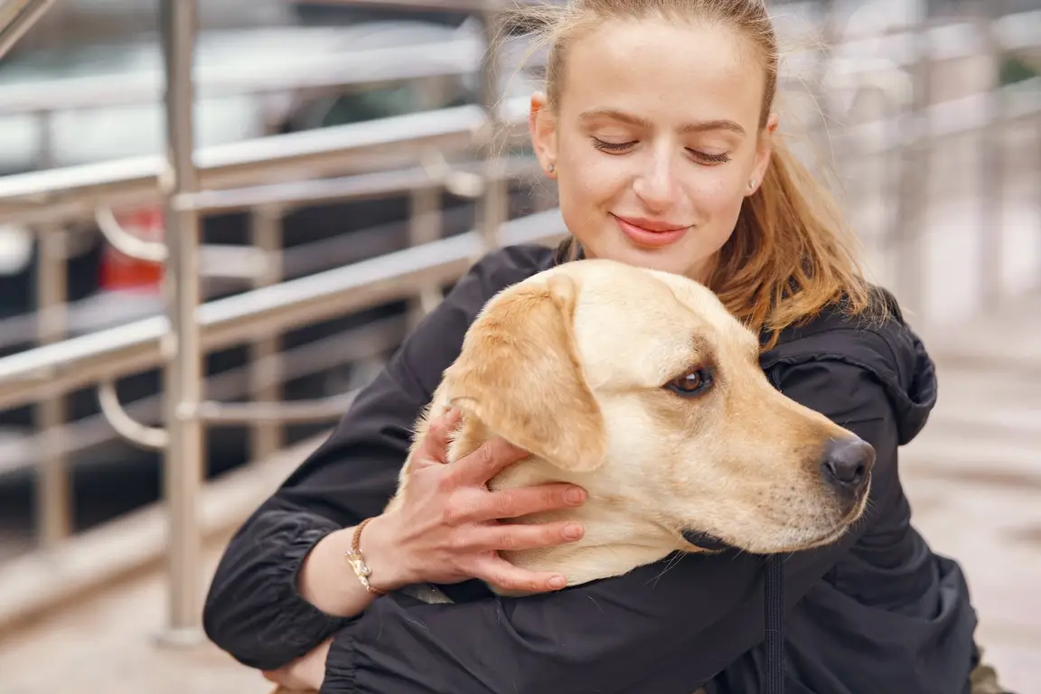Propriétaire avec son chien adulte, contact calme