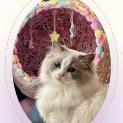 Fluffy Doll's Dream