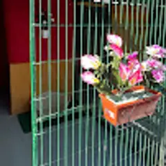 Libra Cachorros