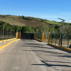 Libra Cachorros