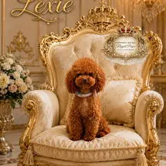ESPONJOSO KENNEL - ROYAL PUPS