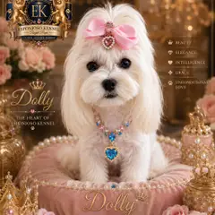 ESPONJOSO KENNEL - ROYAL PUPS