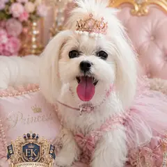 ESPONJOSO KENNEL - ROYAL PUPS