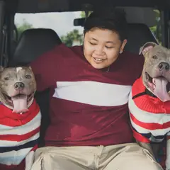 American bully - Photo 4