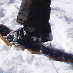 Snowshoe - Foto 8