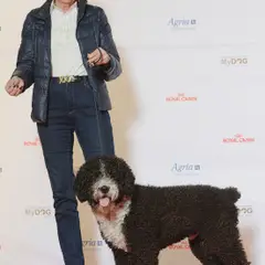 Spanish Water Dog - Photo 5