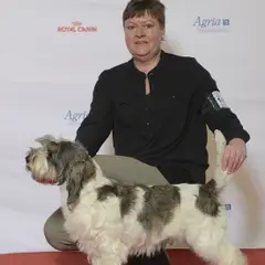 Petit Basset Griffon Vendeano - Foto 3