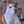 American Staffordshire Terrier