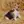 Chien d'Artois