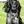 Blauer Picardie-Spaniel
