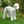 Bedlington Terrier