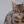 Mau Egyptien