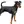 Pinscher Nain