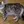 American Curl