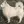 Spitz Allemand