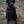 Curly Coated Retriever