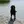 Flat-Coated Retriever
