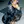 King Charles Spaniel
