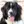 Landseer