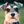 Schnauzer