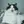 Selkirk Rex