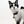 Snowshoe
