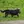 Sussex-Spaniel