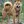 Chien Jindo Coréen