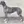 Ancien chien d'arrêt danois