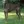 Galgo Español