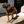Hannoverscher Schweißhund