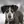 Eurohound