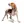 Chien d'Artois
