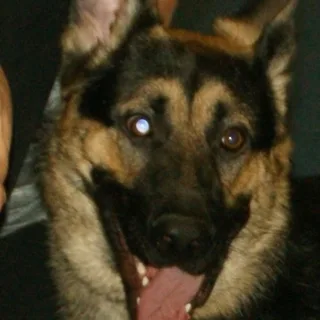 Pastor Russo