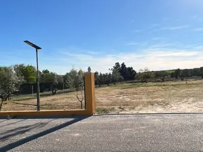 Libra Cachorros