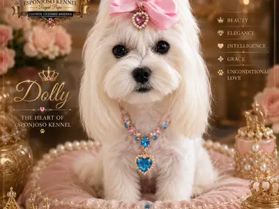 ESPONJOSO KENNEL - ROYAL PUPS