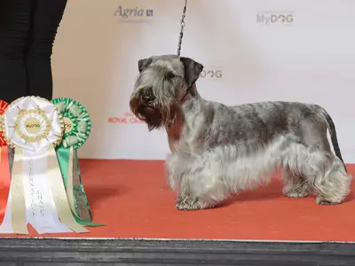 Du Champ D'Eole