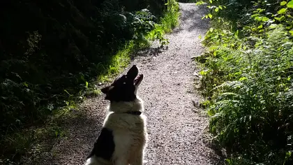 Que vérifier en visitant un élevage