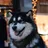 Malamute de l'Alaska