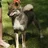 Shikoku
